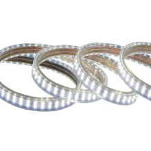 LED strip Tamoline, 50m