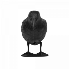 Bird Repeller