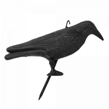 Bird Repeller