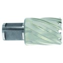 HSS core drill Tivoly Ø19X60X30 mm, short series, Weldon shank Ø19 mm. Bright, uncoated
