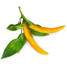 Click & Grow Smart Garden refill Yellow Chili 3pcs