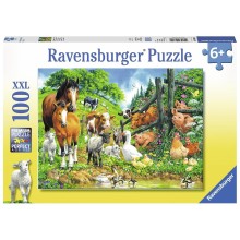 Ravensburger puzzle 100 pcs. Gathering of animals