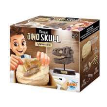 Buki Tyrannosaurus skull