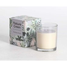 Scented candle in glass NATURE GREEN H9,5cm, Northern Forest