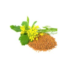 Green manure mustard seeds 1kg
