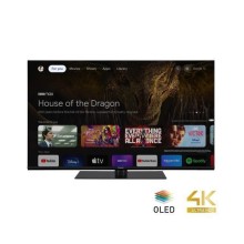 TV set Panasonic 65" (OLED/4K/Smart, 3840x2160, Wireless LAN, Bluetooth, Google TV, TX-65MZ800E)