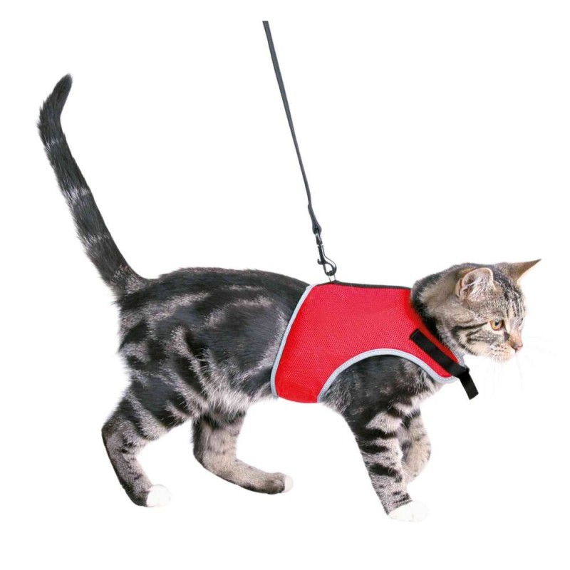 Soft harness with leash for cats, 24–42 cm, 1.20 m Soft harness with leash for cats, 24–42 cm, 1.20 m