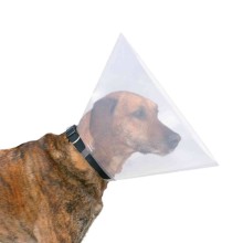 Protective collar, M: 38–44 cm/20 cm