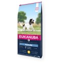 Mature chicken for medium dogs 12 kg, Eukanuba