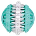 Toy for dogs- ball DentaFun, mint, 6cm