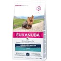 Adult chicken for yorkshire terriers 2 kg, Eukanuba