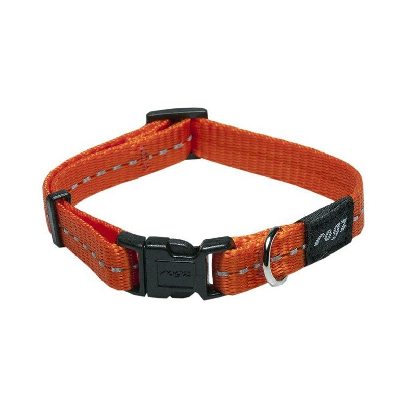 Dog collar Nitelife 11mm/20-31cm, orange, Rogz Dog collar Nitelife 11mm/20-31cm, orange, Rogz