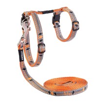 Cat harness&lead NightCat, orange, 24-40cm/1,8m