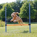 Dog activity agility hurdle, plastic, 123 × 115 cm, ø 3 cm, blue/orange