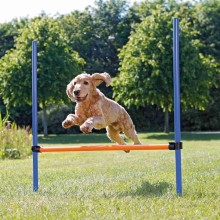 Dog activity agility hurdle, plastic, 123 × 115 cm, ø 3 cm, blue/orange