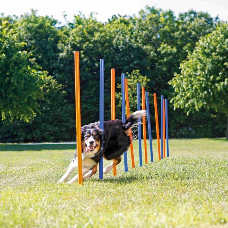 Dog Activity Agility slalom, plastic, ø 3 × 115 cm, blue/orange Dog Activity Agility slalom, plastic, ø 3 × 115 cm, blue/orange