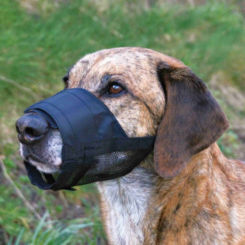 Muzzle with net insert, polyester, S, black Muzzle with net insert, polyester, S, black