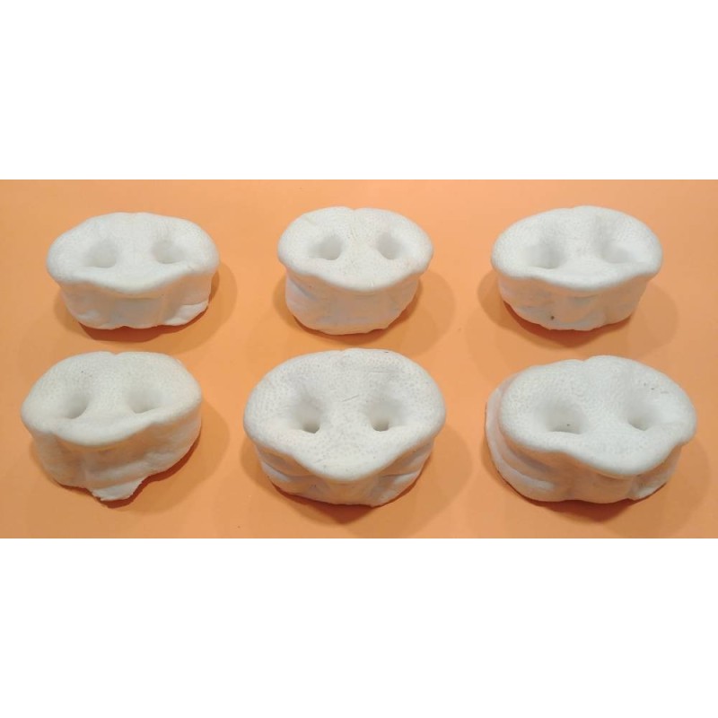 Treat for dogs, pigs noses white 5pc dog treat Treat for dogs, pigs noses white 5pc dog treat