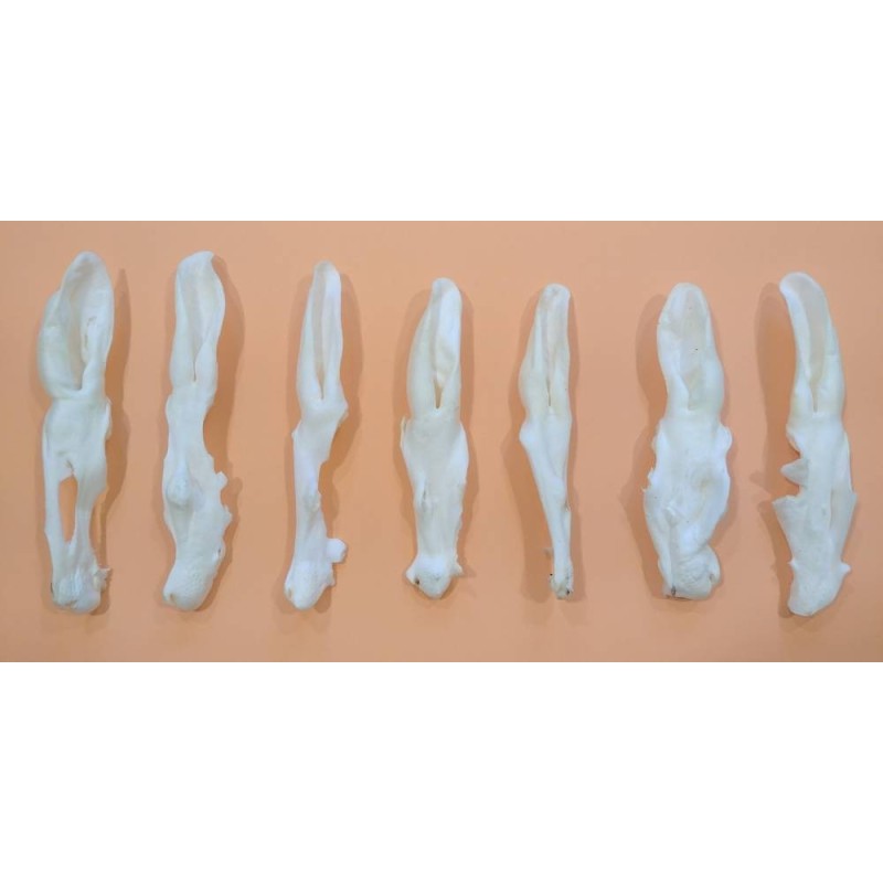 Rabbit ears white 100g Rabbit ears white 100g
