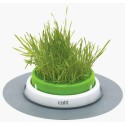 Cat grass + bowl garden kit, d:18cm, Catit