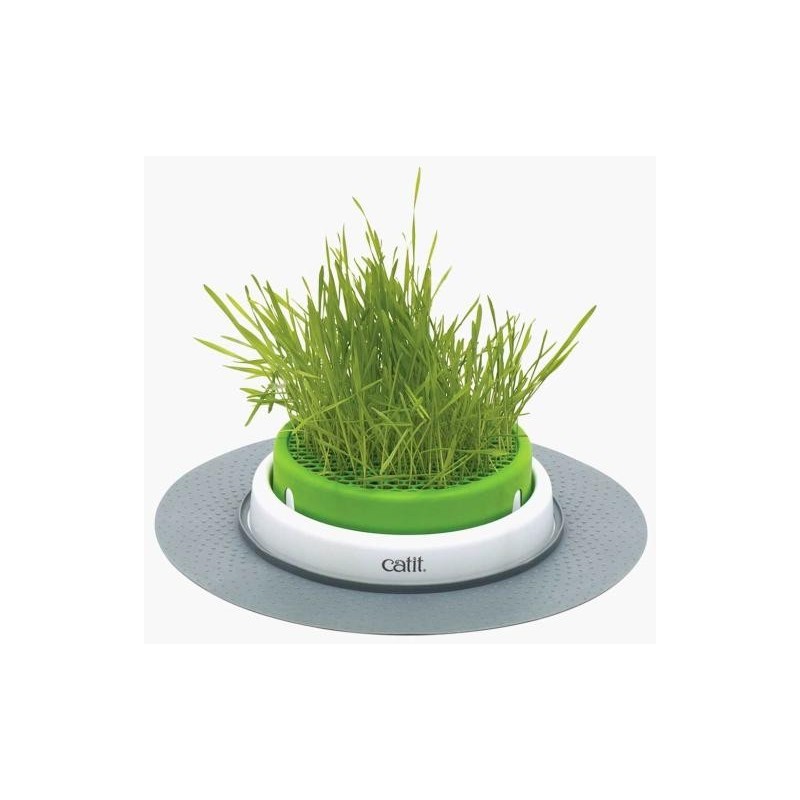 Cat grass + bowl garden kit, d:18cm, Catit Cat grass + bowl garden kit, d:18cm, Catit