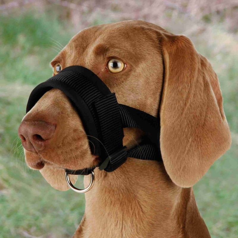 Muzzle loop, nylon, XXL, black Muzzle loop, nylon, XXL, black