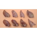 Treat for dogs pigs ears 10pc, Ex-pol