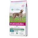 Adult chicken for dogs with sensitive joints 12kg, Eukanuba