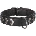 Active collar with studs, L: 48–55 cm/40 mm, black