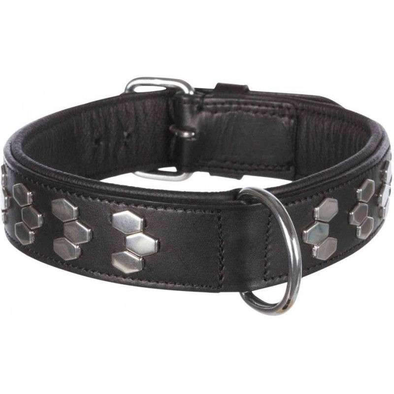 Active collar with studs, L: 48–55 cm/40 mm, black Active collar with studs, L: 48–55 cm/40 mm, black