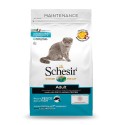With fish 1.5kg dry cat food, Schesir