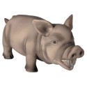 Toy for dogs Pig, original animal sound, latex, 21 cm