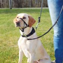 Training harness, L: 31 cm, black