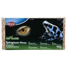 Terrarienmoos, tropic terrarium substrate, gives 4.5 l