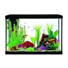 Aquarium STARTER KIT STK20 75.7L 612x320x431mm