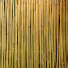Rull bambusaed IN GARDEN, 2x3m, naturaalne bambus D14/16mm, ühendustraat läbi bambuse