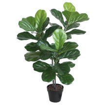 Green plant FIDDLE LEAF H100cm