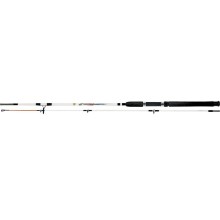 Spinning rod SWD Crocodile 2.7m 100-250g